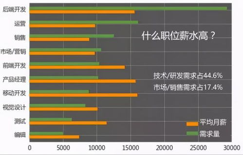 信息技術(shù)浪潮下的職業(yè)選擇 解析計(jì)算機(jī)專(zhuān)業(yè)的獨(dú)特優(yōu)勢(shì)與技術(shù)開(kāi)發(fā)前景